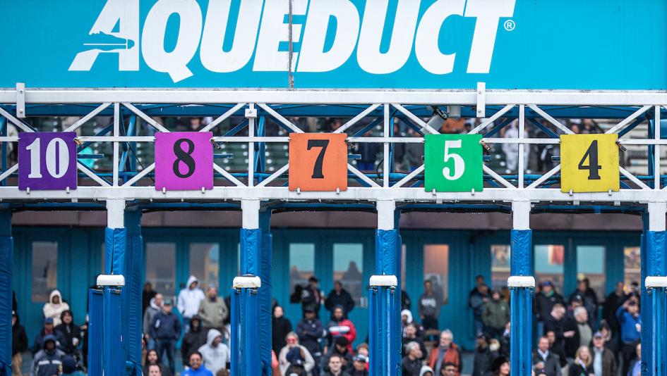 Noel Michaels handicapping, Aqueduct, 2025 Pebbles Stakes, America's Best Racing Sunday Selections